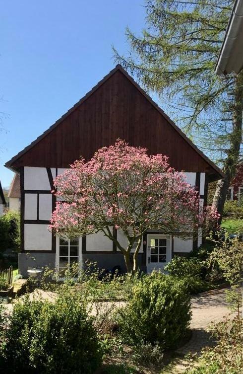 Gemuetliches Ferienhaus Im Extertal/ Lippe Exterior foto